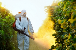 Рекомендации по использованию пестицидов
