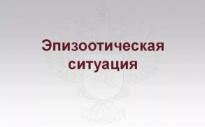 Информация об эпизоотической ситуации в Российской Федерации  по состоянию на 19 апреля 2020 г.
