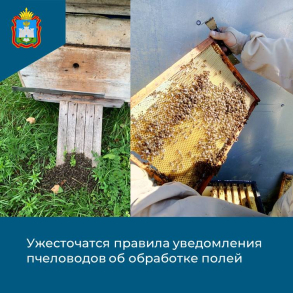 Действия пчеловодов при отравлении пчел