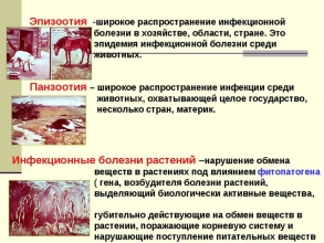 Оперативная информация по особо опасным и заразным болезням животных на территории Российской Федерации с 17 по 24 июля 2017 года