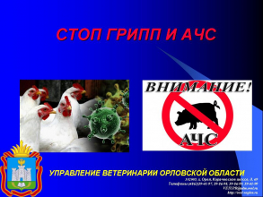 Месячник по профилактике гриппа птиц и африканской чумы свиней 
