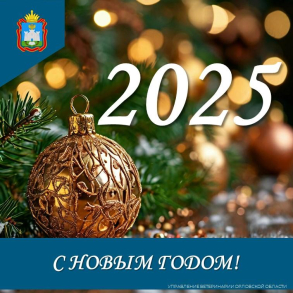 С наступающим Новым 2025 годом!!!!