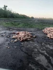 Ликвидация свалки в Кромском районе