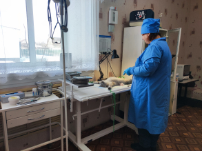 Оказание ветеринарной помощи