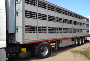 Ветеринарные правила перемещения (перевозки) автомобильным транспортом свиней и кормов для них