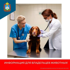 Внимание! Бешенство