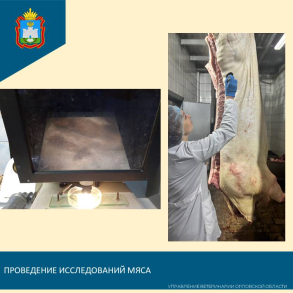 Исследования мяса