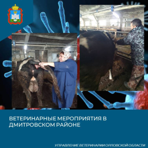 Проведение противоэпизоотических мероприятий в Дмитровском районе
