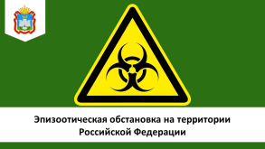 Информация об эпизоотической ситуации в Российской Федерации по состоянию на 18 июня 2023 года