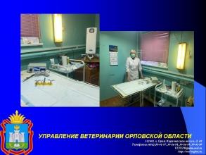 В Орловском областном ветеринарном центре открылся ветеринарный кабинет
