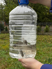 Отбор рыбы для исследований