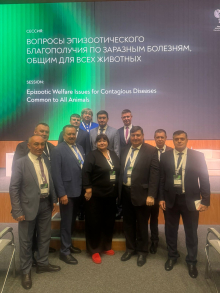 Участие в Международной выставке