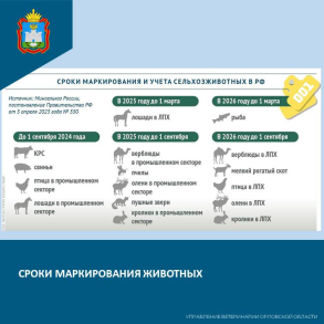 Сроки маркирования животных на территории России