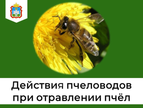 Памятка для пчеловодов Алгоритм действий при подозрении на отравление пчёл ядохимикатами