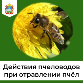 Информация для пчеловодов в связи с приближением периода обработок полей ядохимикатами и пестицидами