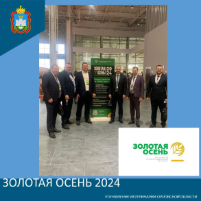 Выставка Золотая осень - 2024