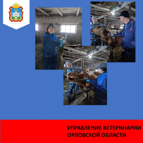 Ветеринарные специалисты Болховского района на страже здоровья животных и людей